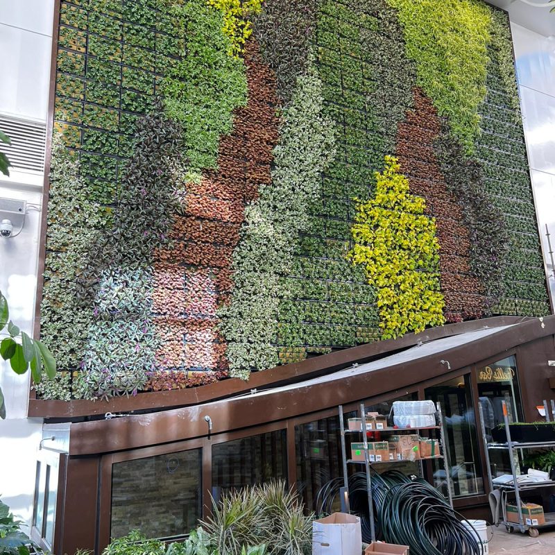 Wall C