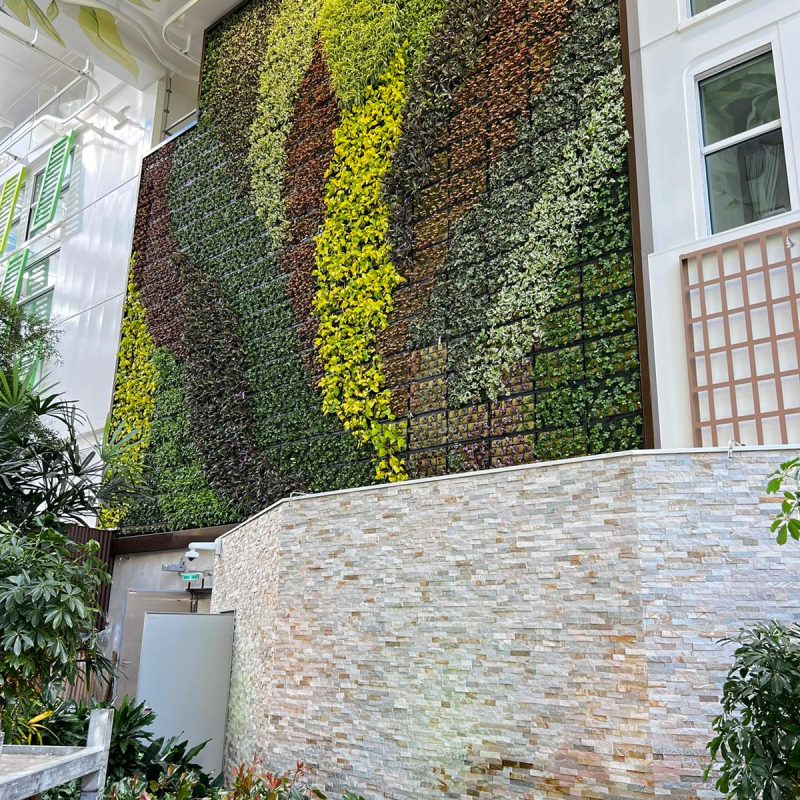 Wall D